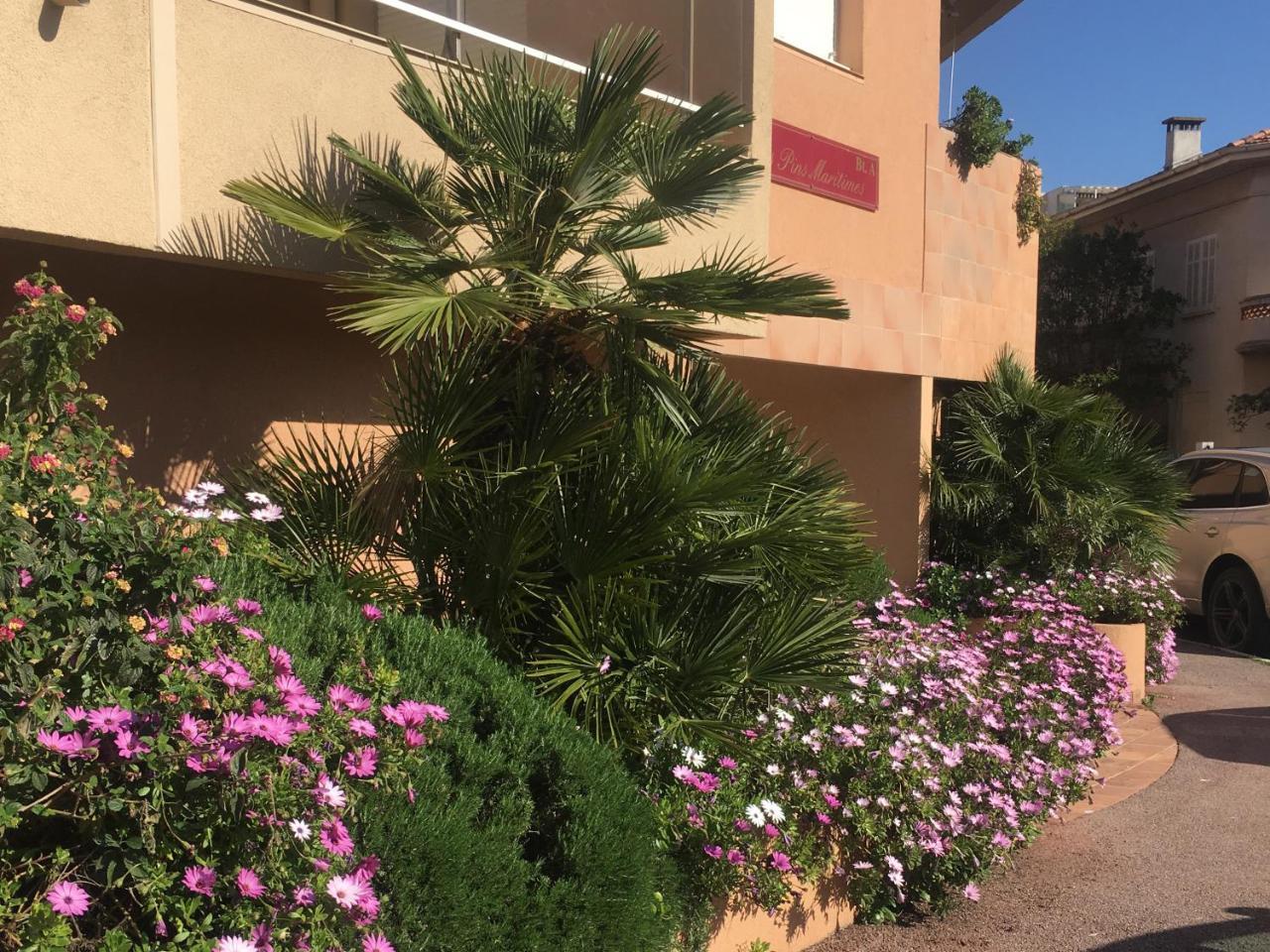 Les Pins Maritimes Fréjus Exterior photo